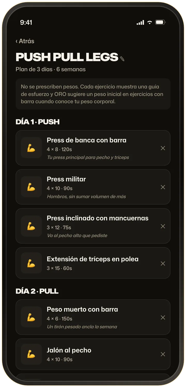 Resultado del creador de entrenamientos con IA: un plan Push Pull Legs de 3 días con cada ejercicio y por qué se eligió, con los botones Armarlo de nuevo y Guardar programa.