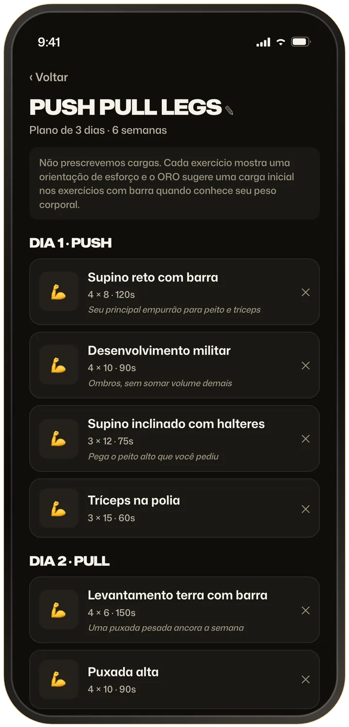 Resultado do montador de treino com IA: um plano Push Pull Legs de 3 dias listando cada exercício e por que foi escolhido, com os botões Montar de novo e Salvar programa.