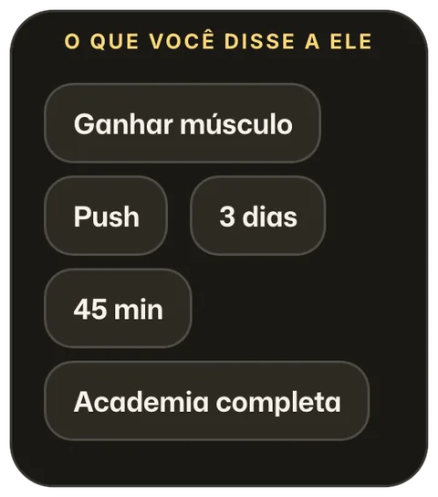 O que o montador de treino recebeu: ganhar músculo, divisão push, 3 dias, 45 minutos, academia completa.